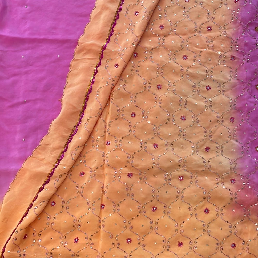 Beautiful pink and orange sari with thread and sequence work all over. Indian.